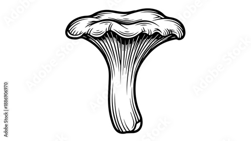 High-contrast black and white line drawing of a single mushroom with detailed cap and stem