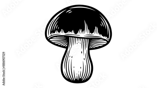 High-contrast black-and-white illustration of a single mushroom with intricate details