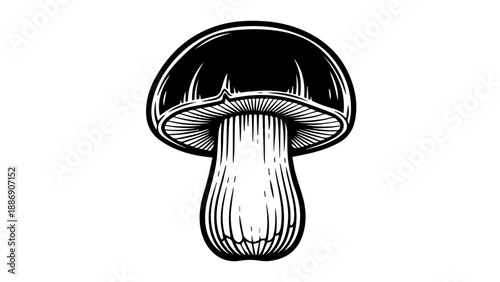 High-contrast black-and-white illustration of a single mushroom with detailed textures and dynamic lighting