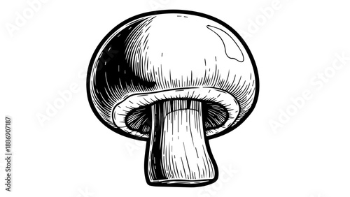 High-contrast black and white illustration of a single mushroom with intricate details