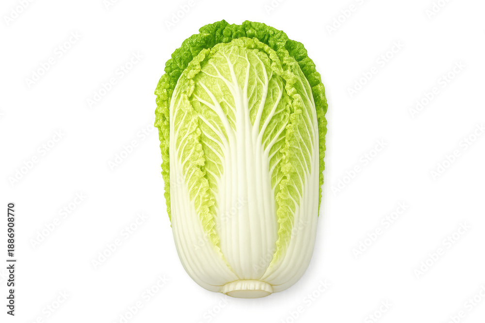 Fototapeta premium Fresh Napa Cabbage Isolated on Black Background, Healthy Vegetable for Cooking