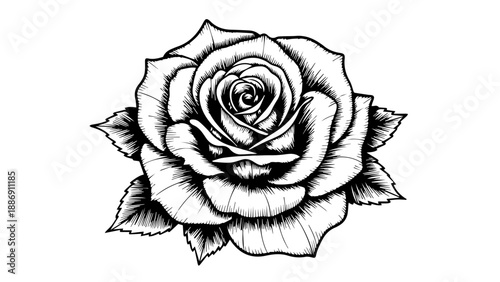 Black and white line drawing of a single rose with leaves