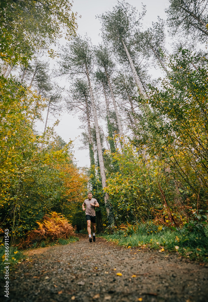 Fototapeta premium A man is running through a forest with trees in the background