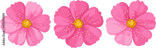 Pink flower set with clipping paths