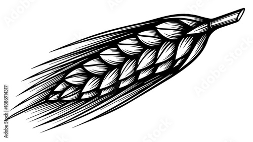 Monochromatic line art illustration of a single wheat stalk with intricate details