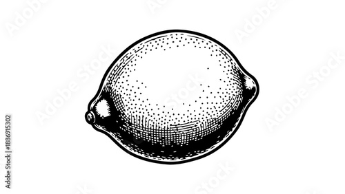 Minimalist black and white illustration of a lemon with a transparent background