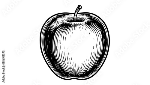 High-contrast black-and-white illustration of a single apple with intricate detailing