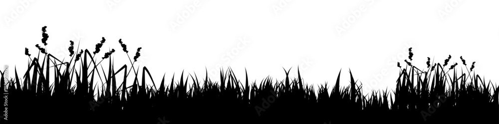 Fototapeta premium Meadow silhouette with grass, plants on plain. Panoramic summer lawn landscape with herbs, various weeds. Herbal border, frame element. Black horizontal banners. Vector illustration