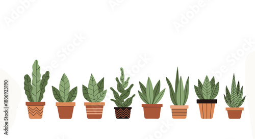 Modern flat illustration of a row of various potted houseplants, including cacti and succulents, in stylish terracotta and patterned pots.