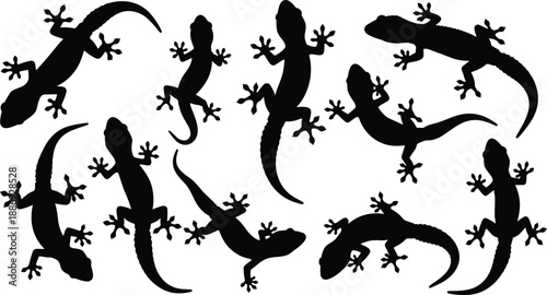 Black and white gecko lizard silhouette set showing crawling and climbing poses for reptile wildlife illustration and decorative design projects