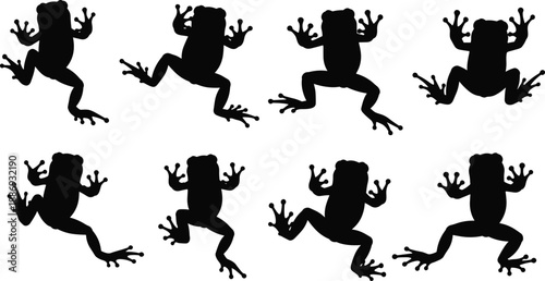 Black and white frog silhouette set showing jumping and crawling poses for amphibian wildlife illustration, nature design, and decorative graphics