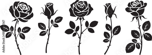 rose illustration collection five petal and leaf silhouettes