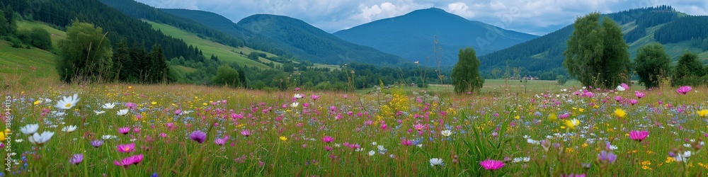 Fototapeta premium Colorful wildflowers blooming in mountain meadow field. Colorful wildflowers blooming profusely across a vibrant meadow with blurred mountains in background