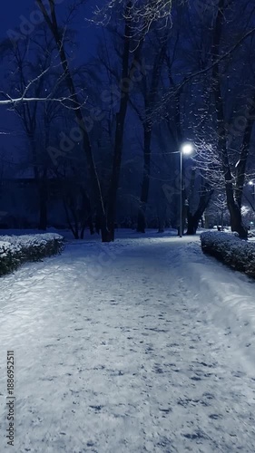 POV Dolly Shot Walking Through Snowy Winter Park At Night