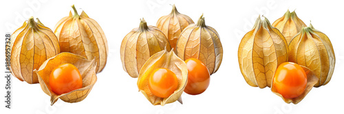 Set of Fresh cape gooseberry physalis fruit displayed with  sliced section showing juicy orange flesh seeds isolated on a transparent background