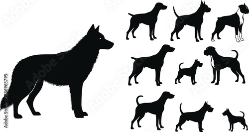 Dog silhouettes collection featuring different breeds and poses, domestic canine animals, black vector illustration set for pet, animal, and veterinary design elements isolated on white