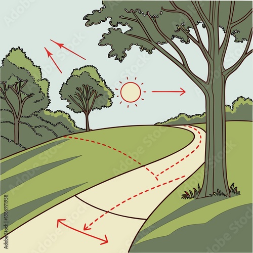 Sunlight-Aligned Pathways in Landscape Design Strategy