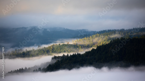 View of misty mountains blanketed with fog, partially illuminated by sunlight breaking through the clouds, casting shadows on the forest, Garberville, California, United States.