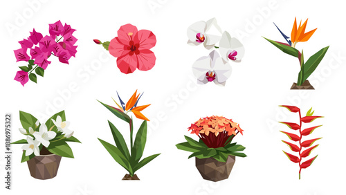 Low Poly Collection of eight diverse tropical flowers rendered in a low-poly geometric style