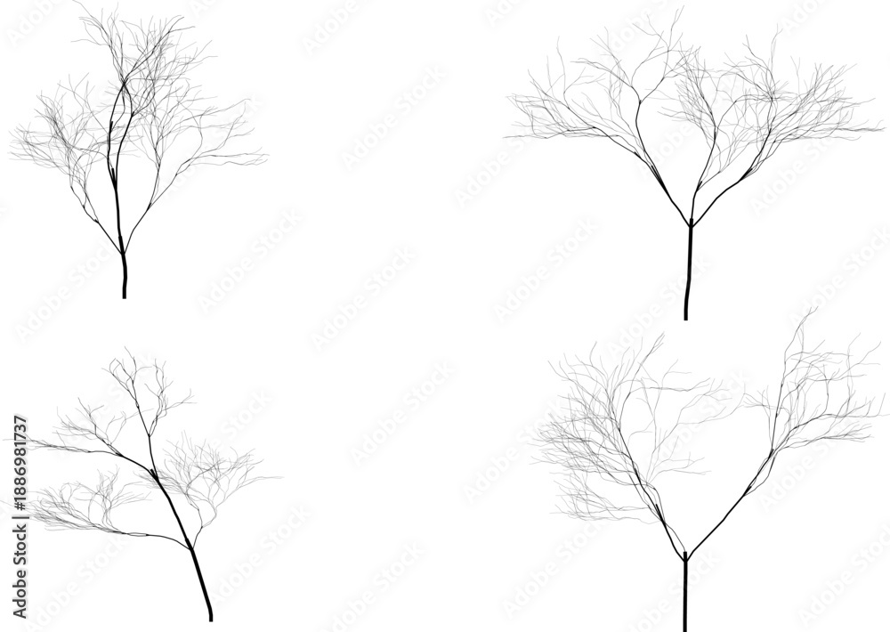 Obraz premium Set of 4 bare tree branches vector illustrations