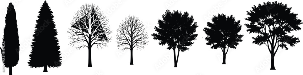 Fototapeta premium Silhouettes of Diverse Tree Types in Row – Seasonal Foliage Variation and Morphology Displayed in Black and White Minimalist Nature Illustration for Botanical Concepts