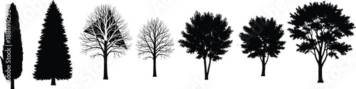 Silhouettes of Diverse Tree Types in Row – Seasonal Foliage Variation and Morphology Displayed in Black and White Minimalist Nature Illustration for Botanical Concepts