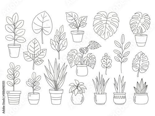 Black and white line art drawing of various potted and detached tropical houseplants