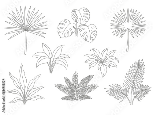 Gray line drawings of various tropical plant silhouettes against a white background