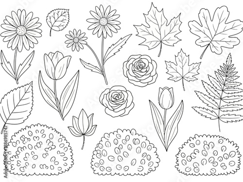 Black and white line art collection of various flowers leaves and bushes