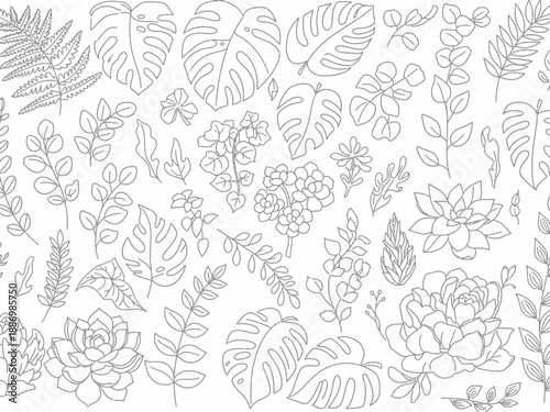 Seamless pattern of various handdrawn grey outline tropical and succulent plant leaves