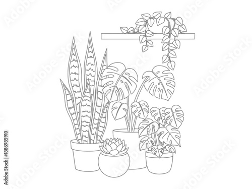 Black and white outline illustration of various potted house plants including a snake plant monstera and succulent
