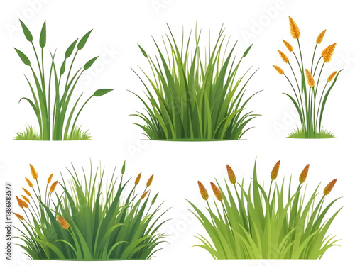 grass, green, lawn, meadow, field, nature, natural, plant, plants, foliage, turf, greenery, spring, summer, fresh, outdoor, landscape, ground, soil, earth, eco, ecology, environment, growth, leaf, bla