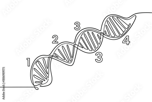 Abstract drawing of a dna double helix with numbered segments