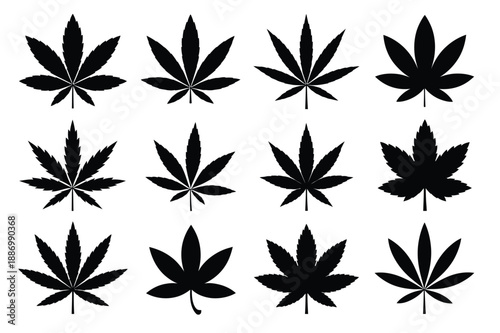 Marijuana leaf silhouette set, vector grid of twelve cannabis leaves in black on white background for botanical illustration, herbal design, wellness branding, and modern graphic projects