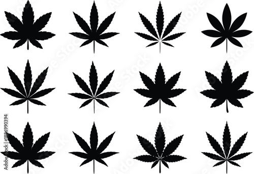 Marijuana leaf silhouette set, vector grid of twelve cannabis leaves in black on white background for botanical illustration, herbal design, wellness branding, and modern graphic projects
