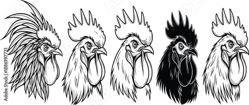 Rooster head illustration, black and white farm animal vector, detailed chicken drawing, bird portrait artwork, agriculture livestock design, vintage style art