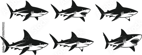 Shark illustration, black and white, graphic style, open mouth, teeth visible, predator pose, ocean animal, stylized design, fierce expression