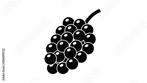 Vector illustration of a simple black and white bunch of grapes with a stem, on transparent background