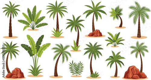 Large collection of tropical palm tree and exotic plant illustrations with banana trees and desert rocks for summer travel and nature design vector set