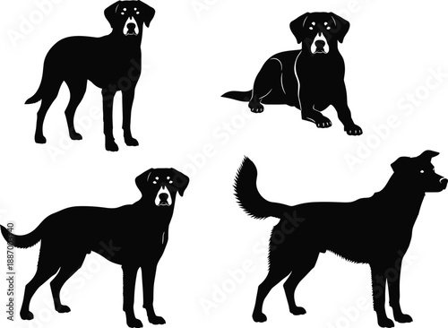 Silhouettes of four dogs in varied poses, animal behavior and posture theme illustration, transparent background graphic