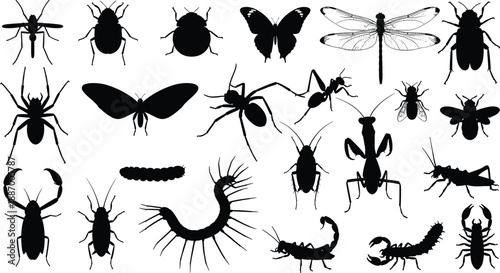 Large collection of detailed insect silhouettes including butterflies spiders ants scorpions and centipedes, isolated on white background for wildlife biology education