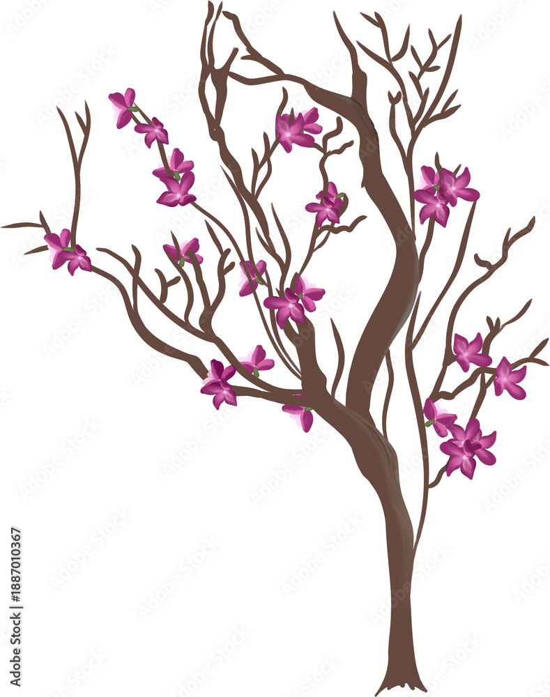 Obraz premium magnolia