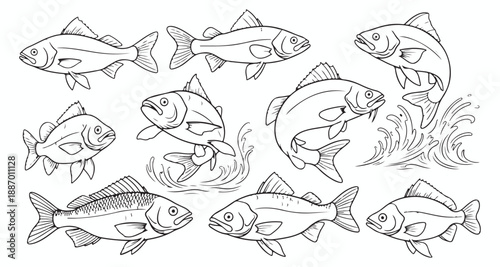 Illustrative collection of various fish species Vector