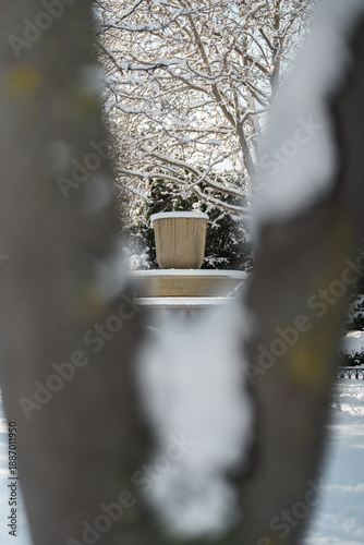 Winter city Park. The stone fountain. The trees are heavily covered with snow. A sunny January day. After a heavy overnight snowfall. New Year's Morning. Through the tree.