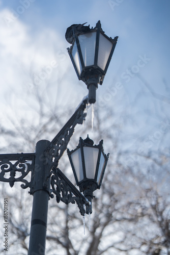 Winter city Park. Icicles on an old lamppost. The sleeping pigeon. A sunny January day. After a heavy overnight snowfall. New Year's Morning.