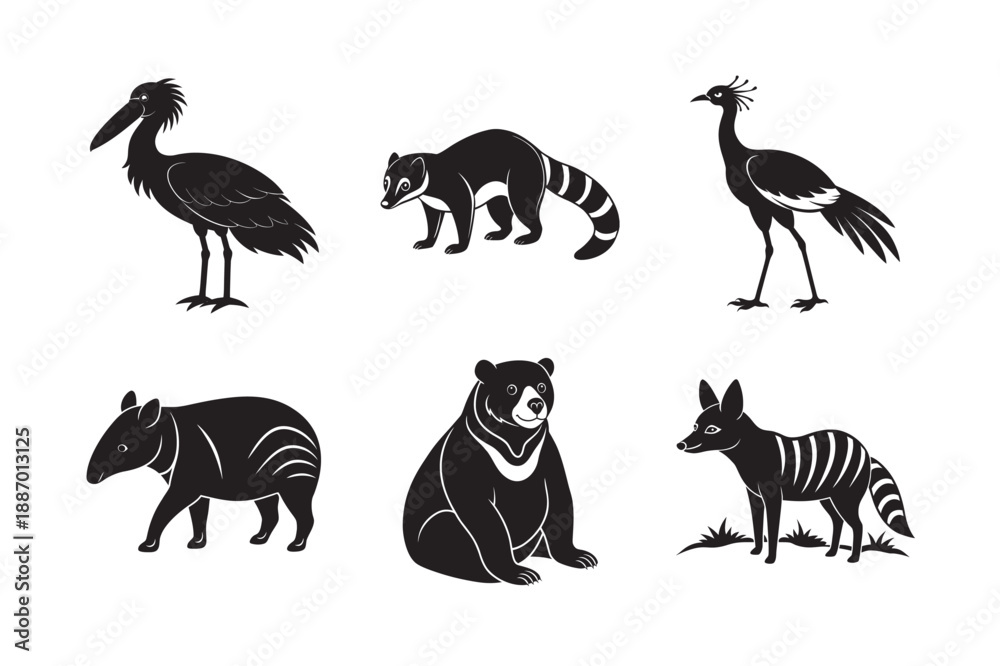 Fototapeta premium Exotic Jungle Wildlife Shadow Silhouette Pack
