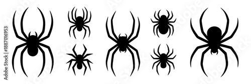 Set of six black spider silhouettes, varying in size from large to small, displayed in a horizontal row on a white background. Simple flat design.