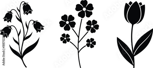Black and white floral illustration set with bellflower fritillary tulip minimalist line art
