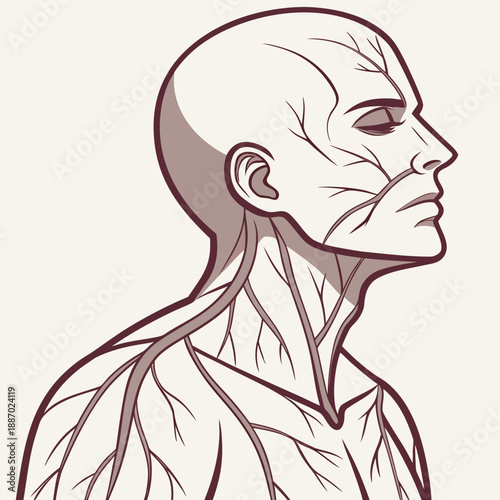 Ultra-realistic Humanoid Portrait with Translucent Skin and Subtle Facial Details, Pioneering Future AI Concepts.