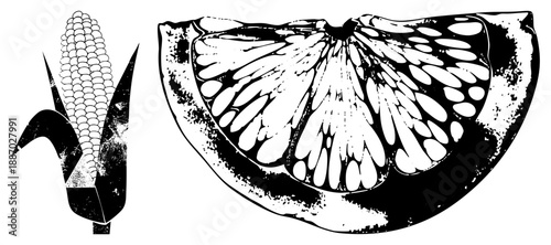 Stylized Corn and Citrus Slice Vector Illustration with Halftone Texture